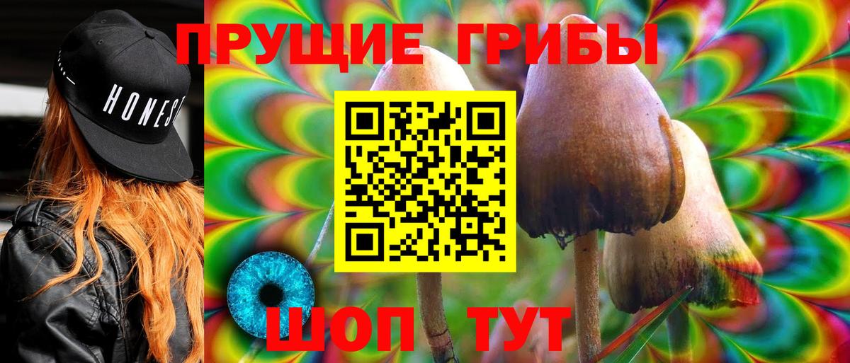 Альметьевск  наркота  Вход с VPN  Псилоцибиновые грибы MAGIC MUSHROOMS 
