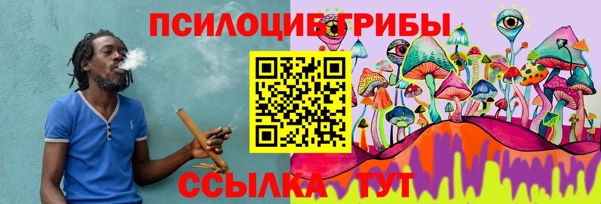 Галлюциногенные грибы Cubensis Альметьевск